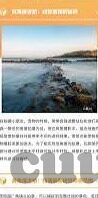 91操人妻-91操人妻现象的伦理与法律反思