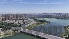 91麻豆国产-难以启齿的红玫瑰——91麻豆国产现象背后