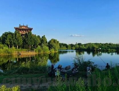 97国产视频青青麻豆-应当符合社会主义核心价值观，97国产视频中青青麻豆的反思与审慎