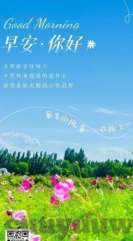 成人在线手机版视频a-成人在线手机版视频，信息时代的娱乐新选择