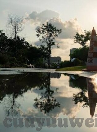 大象传媒黄app-探索大象传媒黄app的多元功能与影响