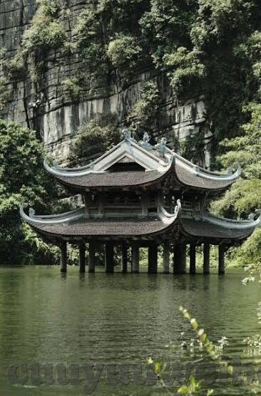 九一制片厂果冻传媒app-九一制片厂与果冻传媒，数字时代的娱乐新纪元