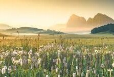 麻豆传媒第一页-揭开麻豆传媒第一页的神秘面纱，数字时代的文化与争议