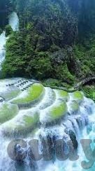 麻豆短视频app-别让麻豆短视频禁锢你的视野——一场当代文化与科技误解的反思