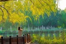 麻豆免费传媒app-麻豆免费传媒app，我们为何钟情于优质内容与信息获取的多元化