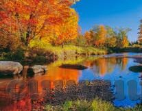 麻豆爽爽视频-感受麻豆爽爽视频的视听盛宴