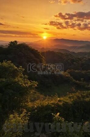 人妻ova无修国语八达-探索人妻OVA无修国语八达的多元视角与文化现象