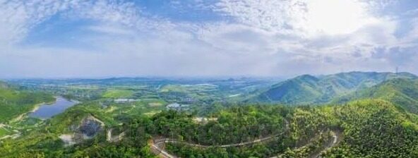糖心app免费下载安装-免费下载糖心APP的快捷指南