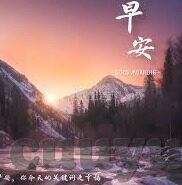 糖心社区app-虚拟社区的多元体验，糖心社区app的深度探索