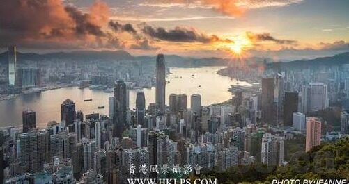 糖心直播app纯净版-探索私密直播领域的灰色地带，揭秘糖心直播app纯净版的真相