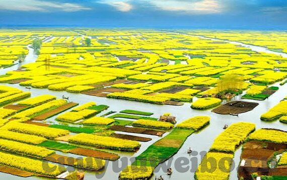 香蕉视频成人永久免费版app下载-解锁娱乐新境界，香蕉视频成人版APP的探索之旅