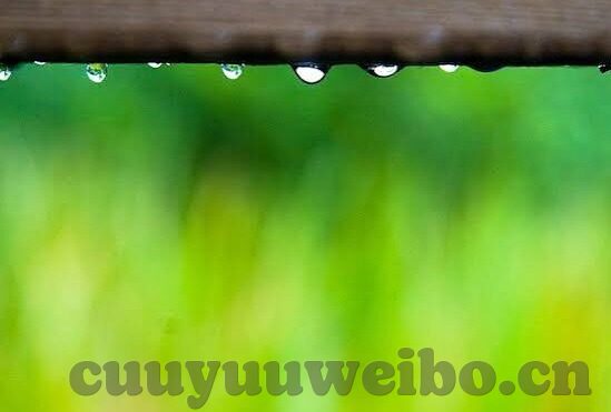 亚洲av麻豆aⅴ无码电影-亚洲av麻豆aⅴ无码电影的艺术探讨，多重界限的跨域与感官的共鸣